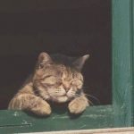 041328f215684e1326be42716dd85bb8