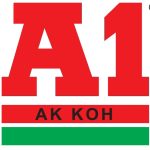 Logo a1