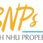 Bnps logo(2017) 1