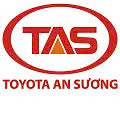 Logo TAS