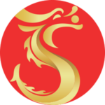 Vdsclogo