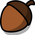 Acorn